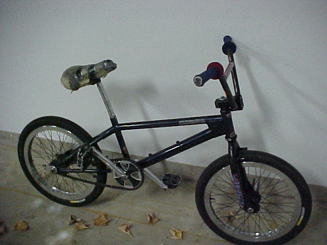 balling_bike.jpg