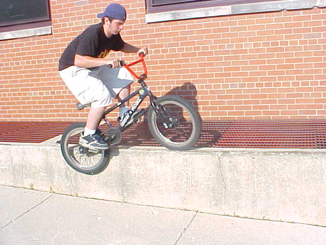 bobfeeble.jpg