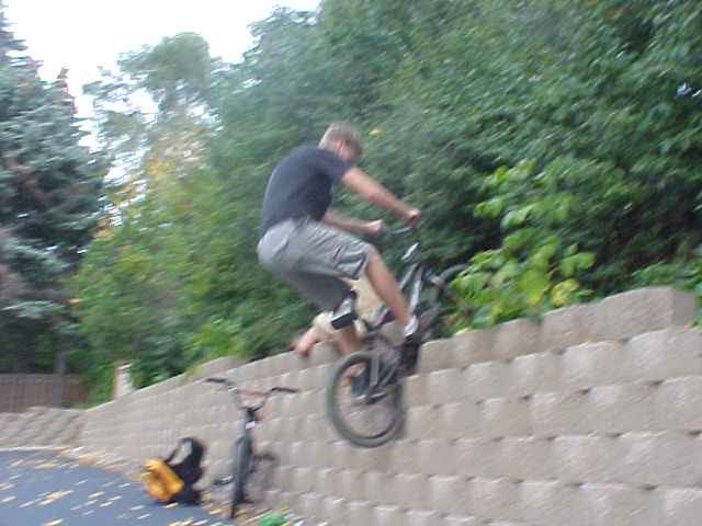 todd_cementblockstall.jpg